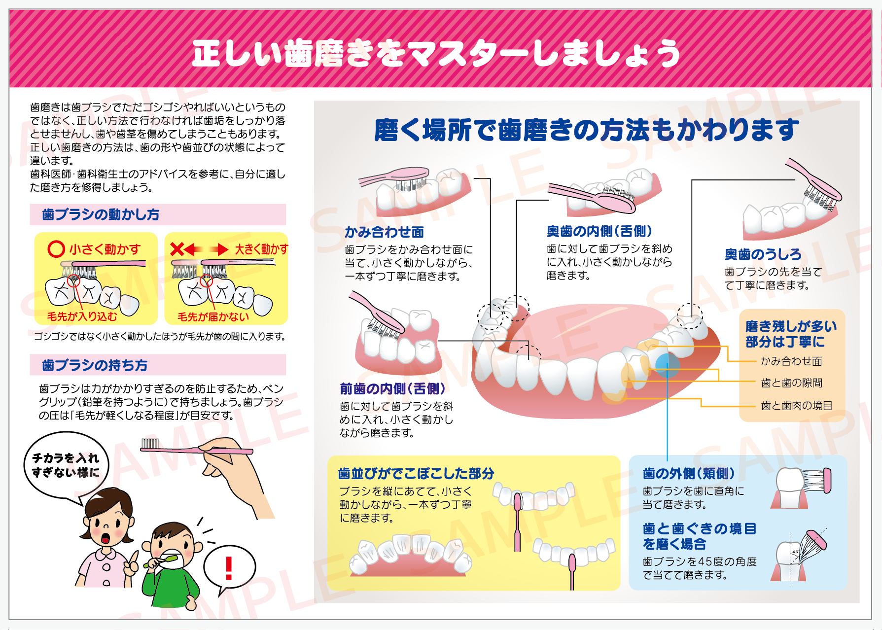 歯磨き説明リーフレット